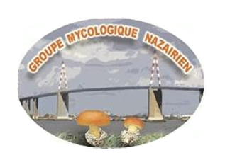 Groupe Mycologique Nazairien - Loire-Atlantique